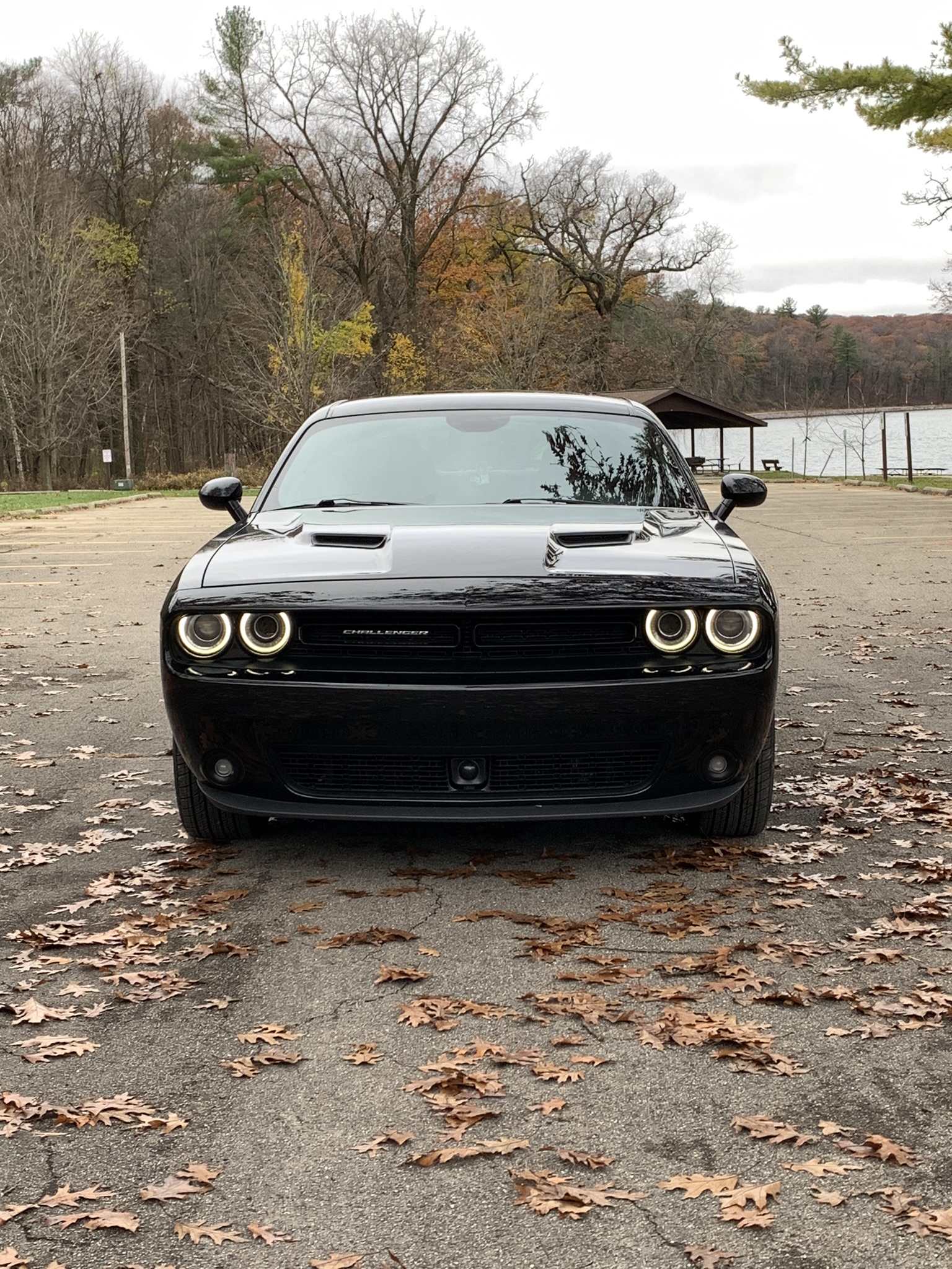 A head on image of my car in the middle of a parking lot during the fall.